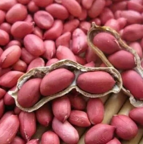 Groundnuts