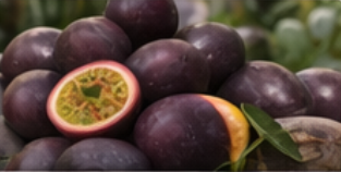 Fresh Passion Fruits - Purple & Yellow Varieties